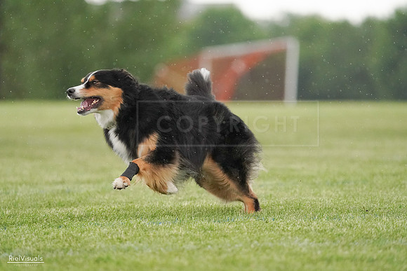 RielVisuals_20240526_094611_SJR00982