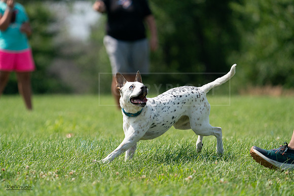 RielVisuals_20240728_144208_SJR08934