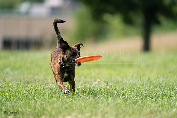 RielVisuals_20240728_151745_SJR00516