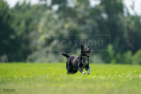RielVisuals_20240727_125839_SJR06415