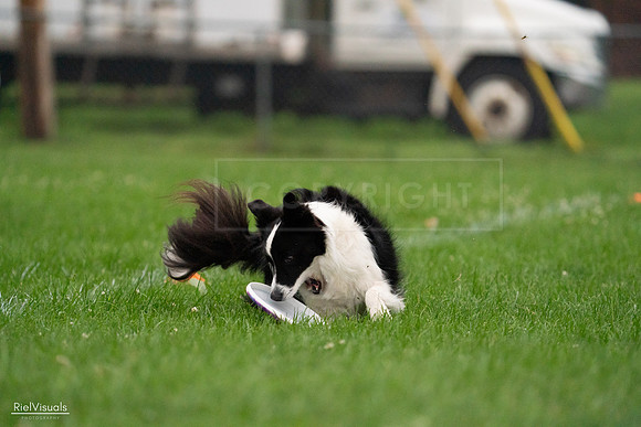 RielVisuals_20240722_194025_SJR01793