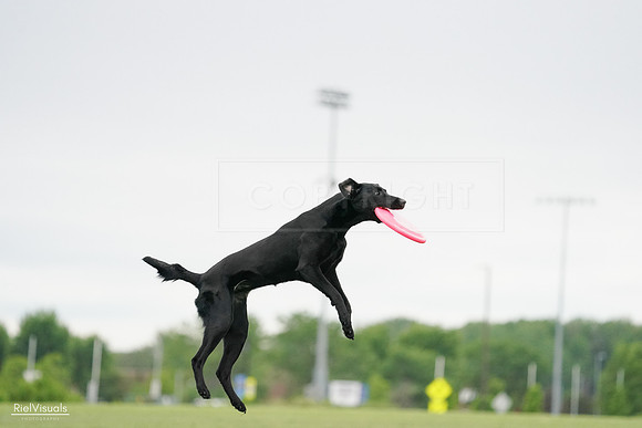 RielVisuals_20240526_132016_SJR07551