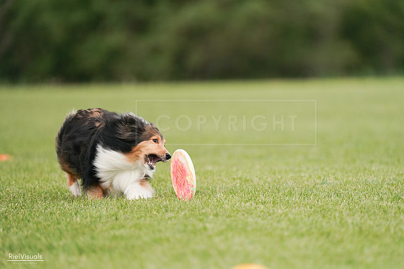 RielVisuals_20240527_140925_SJR01648