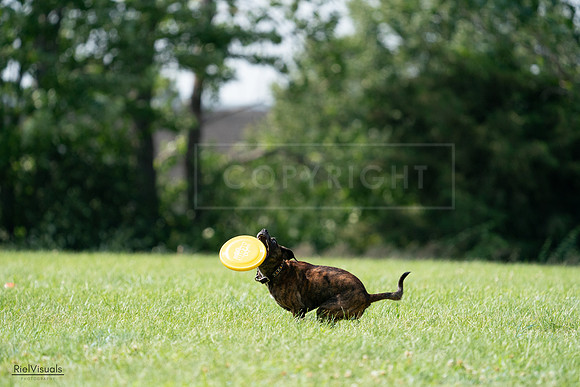 RielVisuals_20240728_151727_SJR00501