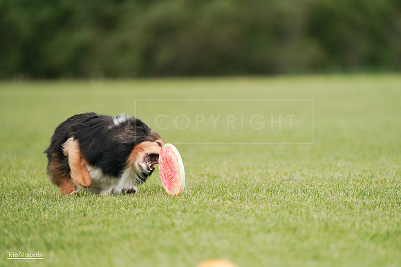 RielVisuals_20240527_140925_SJR01649