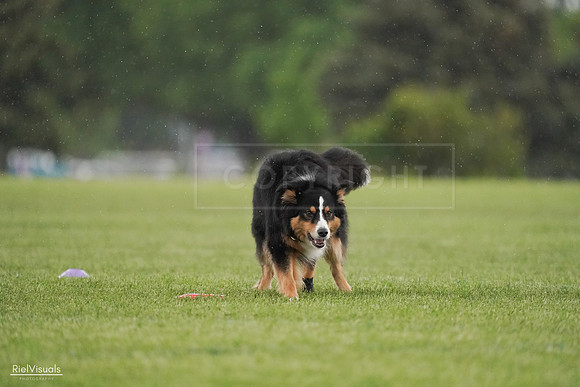 RielVisuals_20240526_094542_SJR00933