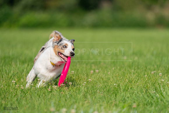 RielVisuals_20240727_092306_SJR06174