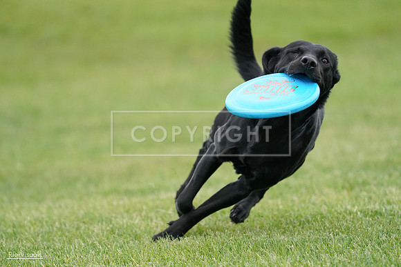 RielVisuals_20240525_163946_SJR05127