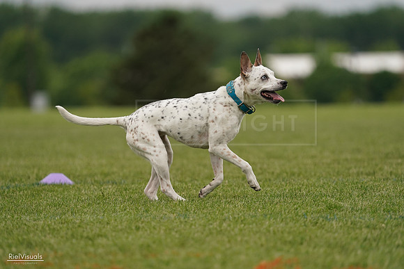 RielVisuals_20240526_134233_SJR08790