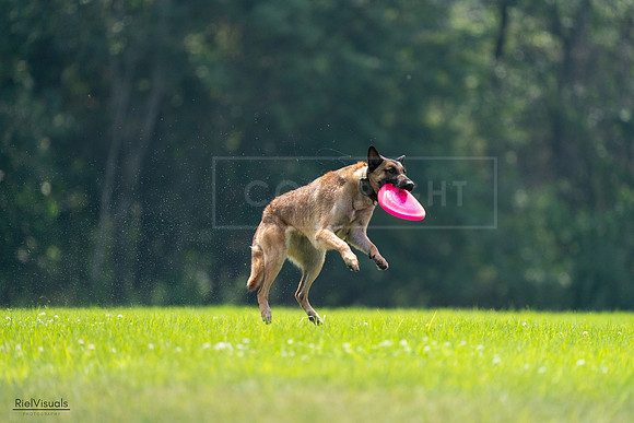 RielVisuals_20240727_123627_SJR05973
