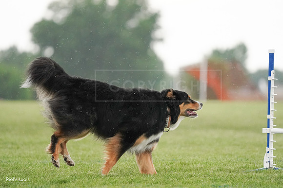 RielVisuals_20240526_094609_SJR00977