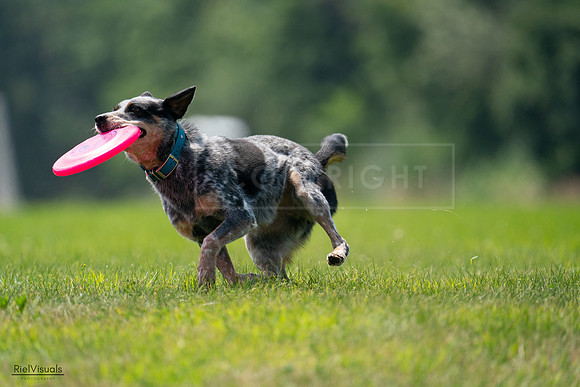 RielVisuals_20240727_120228_SJR04571