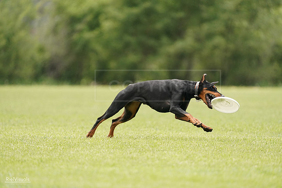 RielVisuals_20240527_134121_SJR00930