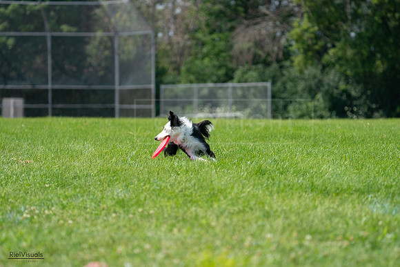 RielVisuals_20240728_113918_SJR01545