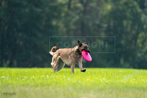 RielVisuals_20240727_123627_SJR05976