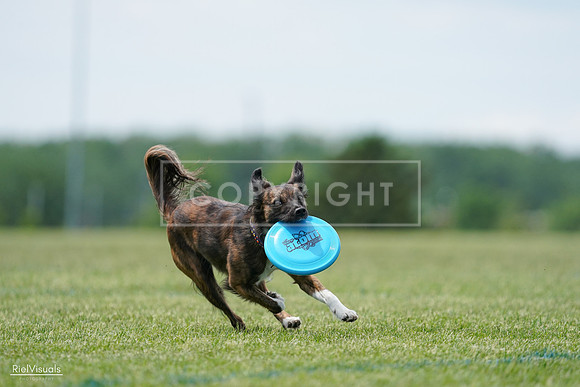 RielVisuals_20240525_124201_SJR00932