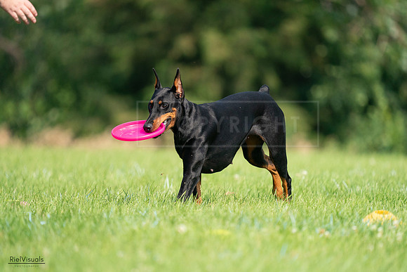 RielVisuals_20240727_100534_SJR08530