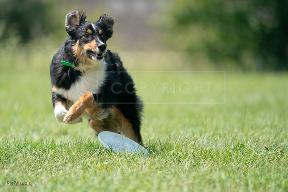 RielVisuals_20240728_143222_SJR08473