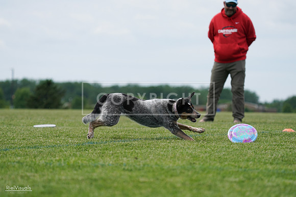 RielVisuals_20240525_125157_SJR01416