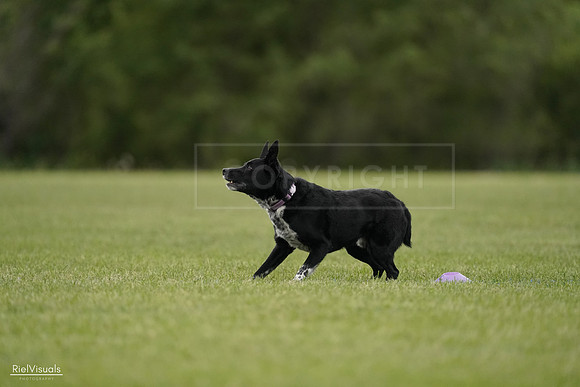 RielVisuals_20240526_132657_SJR07773