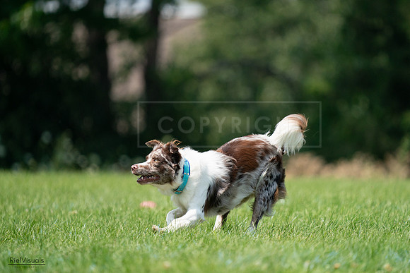 RielVisuals_20240727_133747_SJR07917