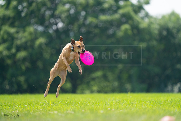 RielVisuals_20240727_131636_SJR07419