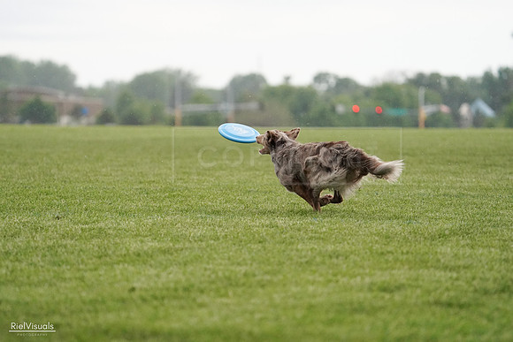 RielVisuals_20240526_092544_SJR09974