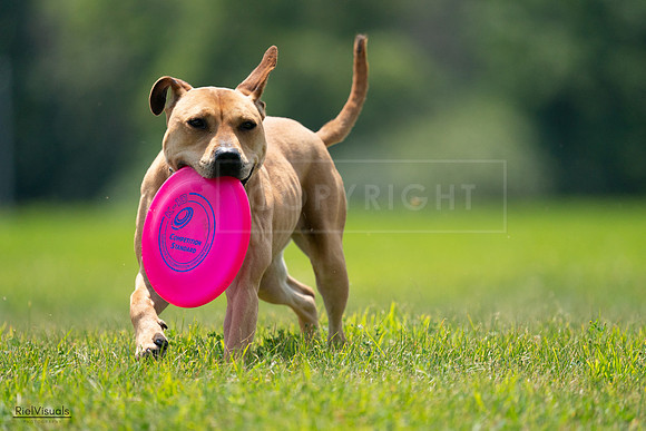 RielVisuals_20240727_131655_SJR07474