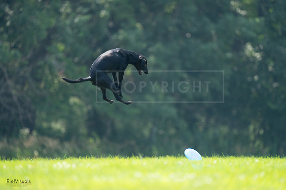 RielVisuals_20240727_122720_SJR05581