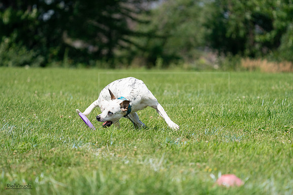 RielVisuals_20240728_120554_SJR02884