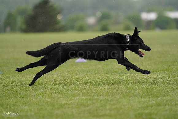 RielVisuals_20240526_092332_SJR09877