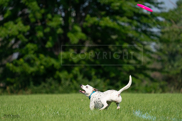 RielVisuals_20240727_095436_SJR08010