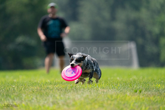 RielVisuals_20240727_120240_SJR04601
