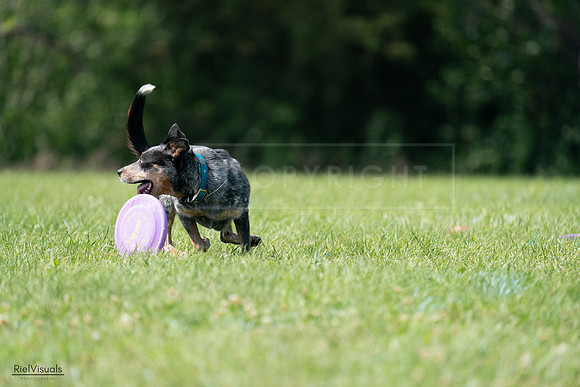 RielVisuals_20240728_145204_SJR09384