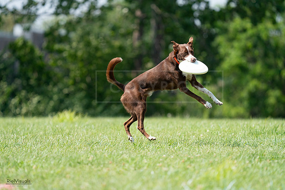 RielVisuals_20240728_144932_SJR09268