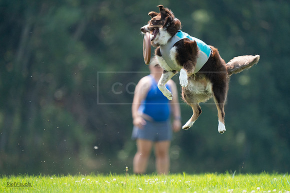 RielVisuals_20240727_120516_SJR04731