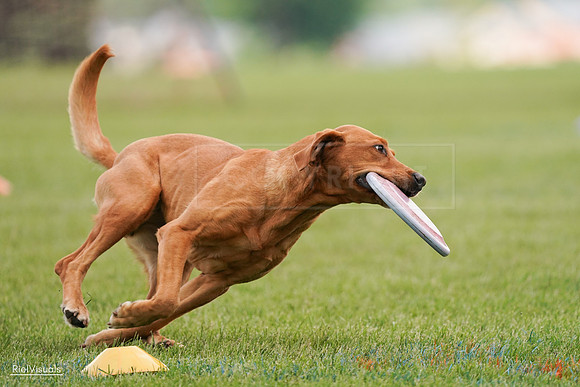 RielVisuals_20240527_141137_SJR01911