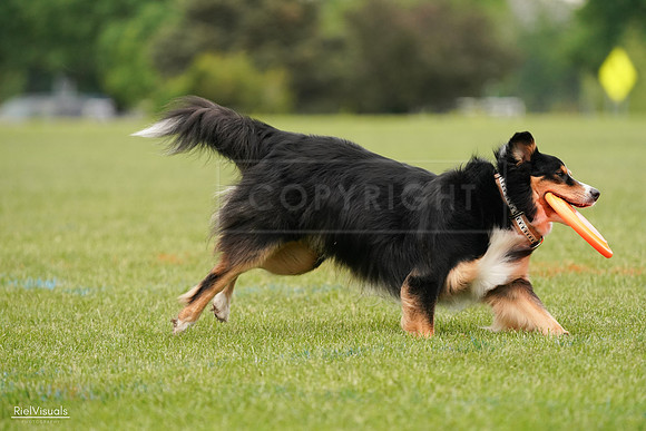 RielVisuals_20240527_133230_SJR00185