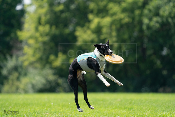 RielVisuals_20240728_132802_SJR06298