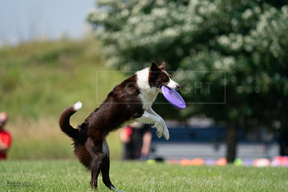 RielVisuals_20240727_140410_SJR09504