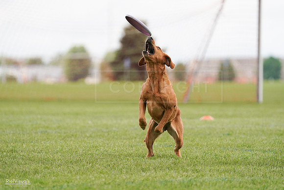 RielVisuals_20240527_141102_SJR01763