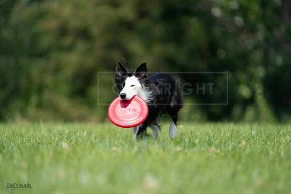 RielVisuals_20240727_114834_SJR04008