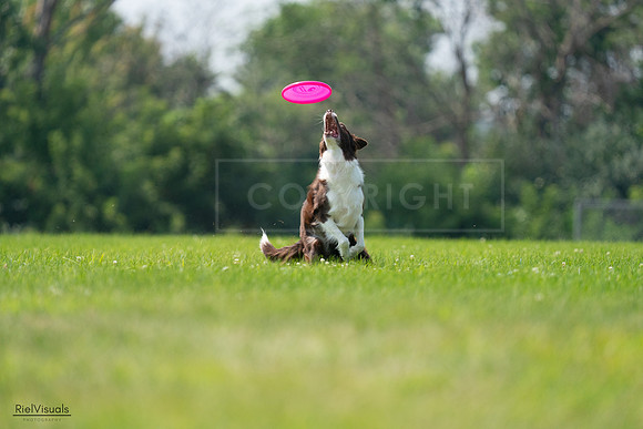 RielVisuals_20240727_115618_SJR04324