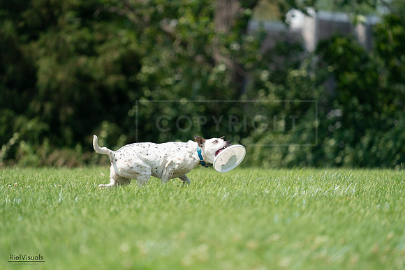 RielVisuals_20240727_134610_SJR08339