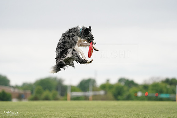 RielVisuals_20240526_133237_SJR08170