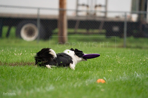 RielVisuals_20240722_194537_SJR02093