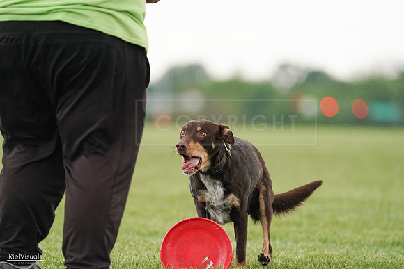 RielVisuals_20240526_095745_SJR01531