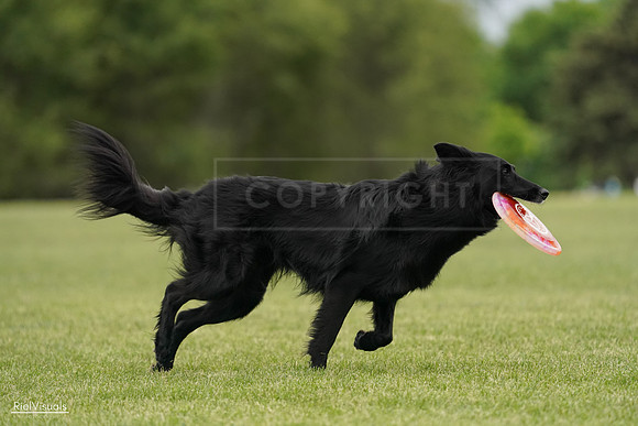 RielVisuals_20240526_133806_SJR08412