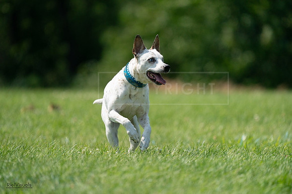 RielVisuals_20240728_144154_SJR08905