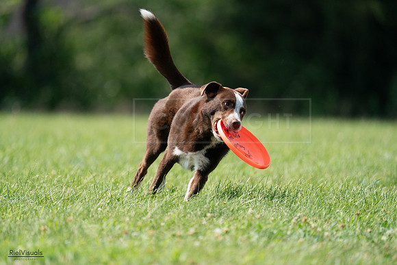 RielVisuals_20240728_152050_SJR00642
